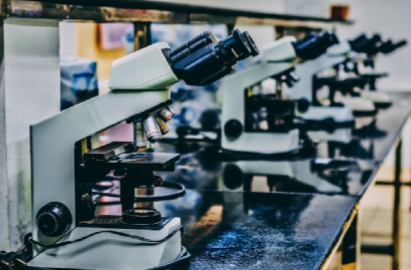 Laboratory Services