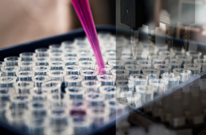 Pesticides Testing Laboratory